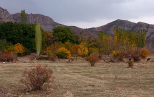 Khosrov reserve