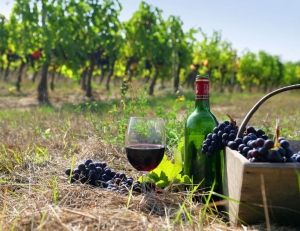 Daily wine tour to Vayots Dzor region