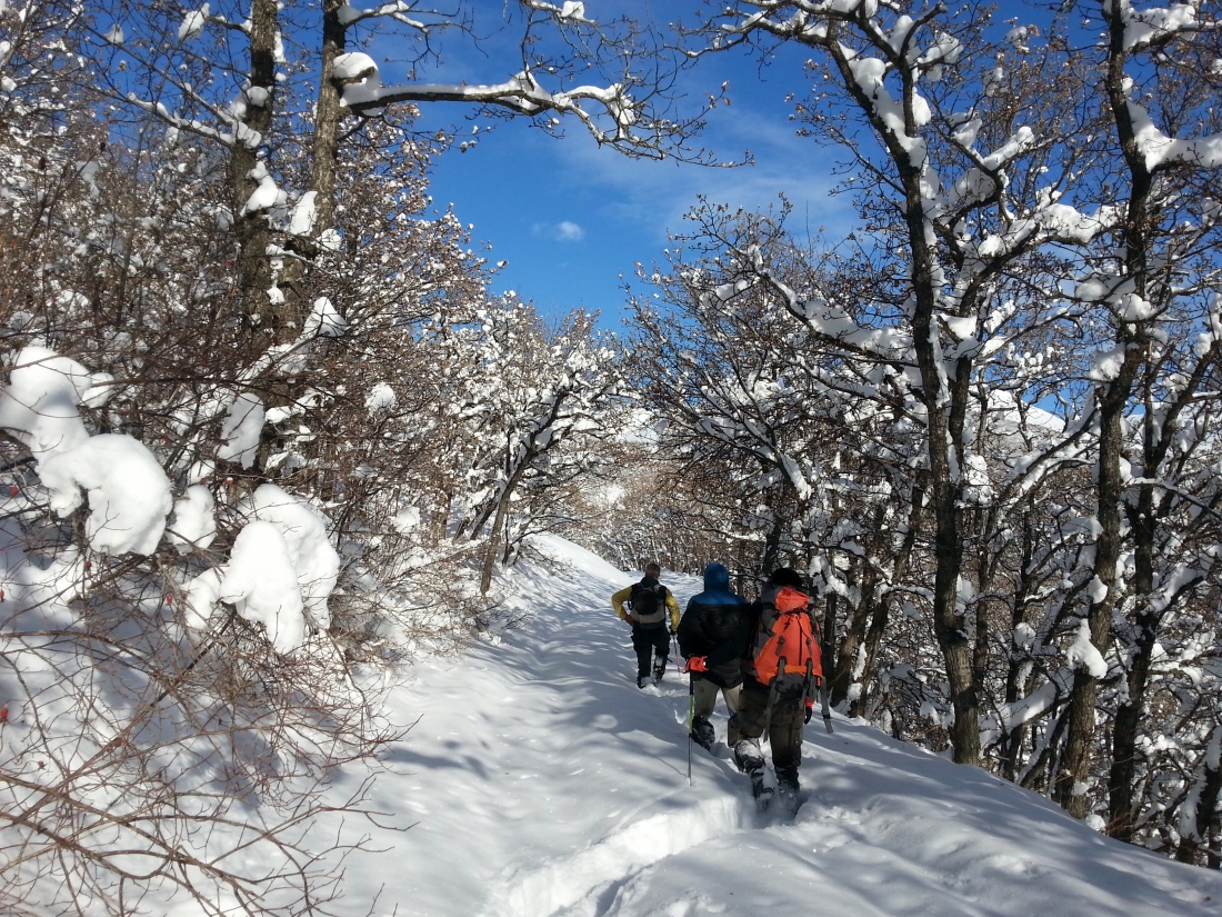 Daily winter snowshoe hiking tour to Teghenyats monastery